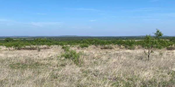 Listing image 108365-0