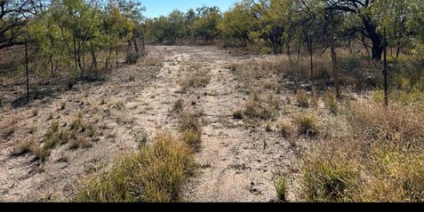 Listing image 127109-0