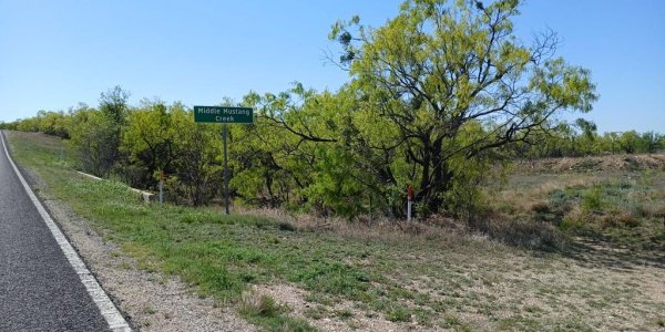 Listing image 127146-0