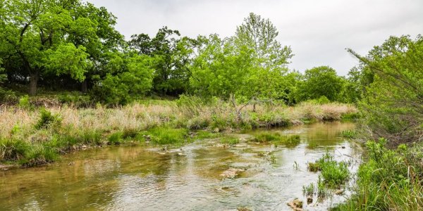 Listing image 127285-0